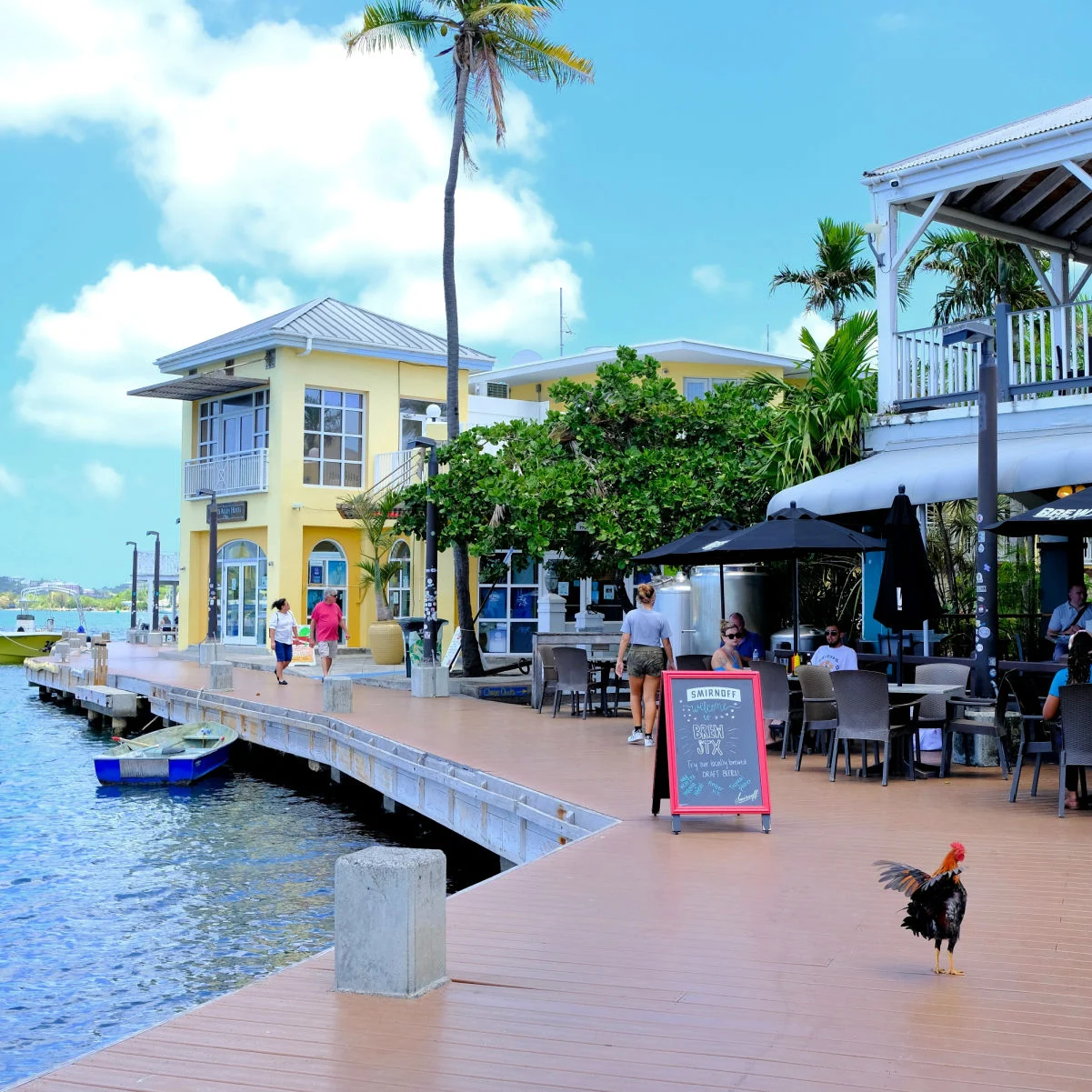 Zone de promenade du port de Christiansted. Restaurant de brasserie, poulet ébouriffant ses plumes et gens se relaxant sur l'île tropicale.