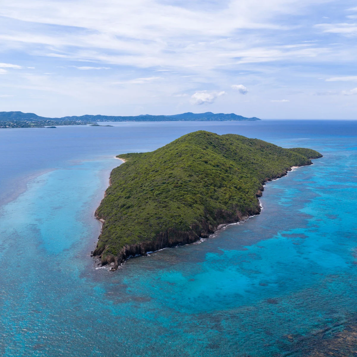 Buck Island St Croix, une île dans l'océan, une vie marine étonnante