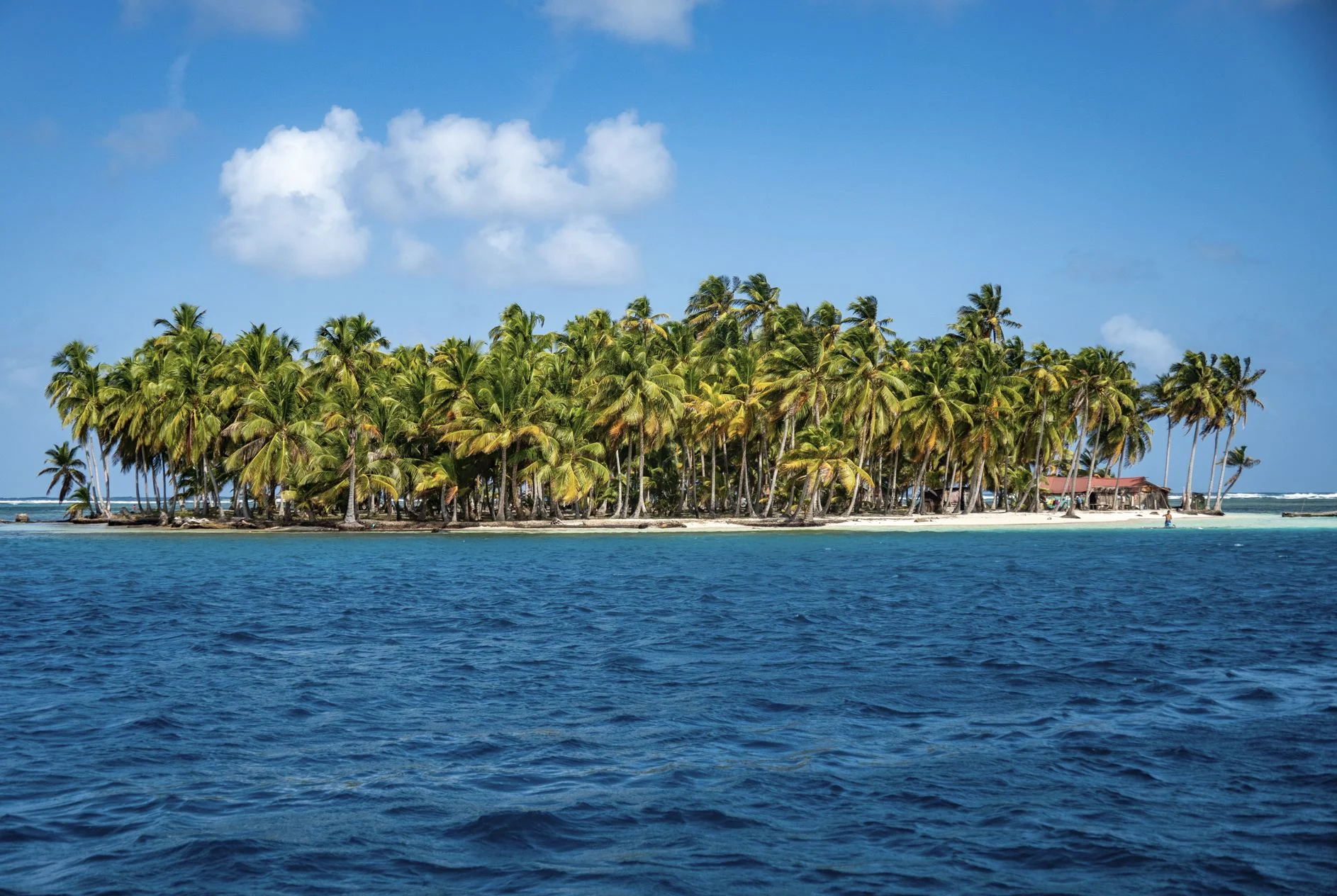 île entourée d'eau claire et bleue, dans les îles San Blas, Panama