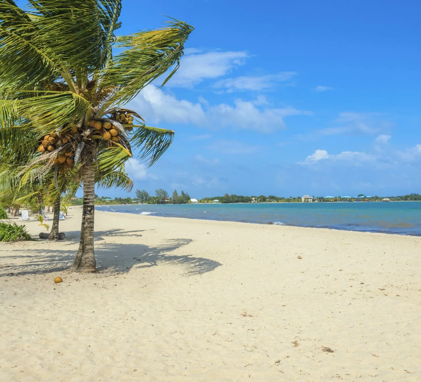 Plage paradisiaque à Placencia, côte tropicale du Belize, mer des Caraïbes, Amérique centrale.