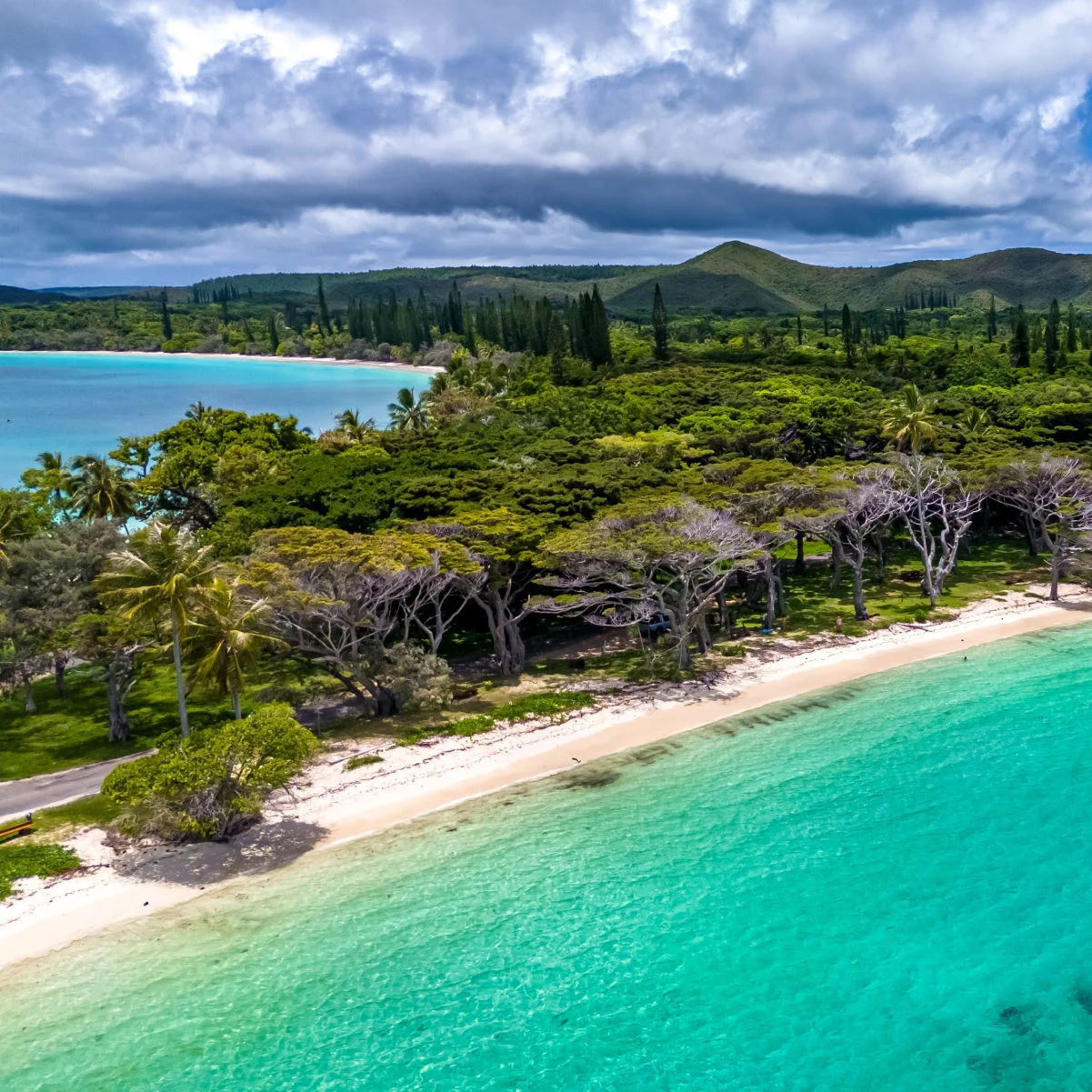 Une superbe vue aérienne en contre-plongée d'une plage isolée de l'île des Pins, en Nouvelle-Calédonie. Le sable blanc et l'eau turquoise éclatante sont bordés de magnifiques arbres tropicaux.