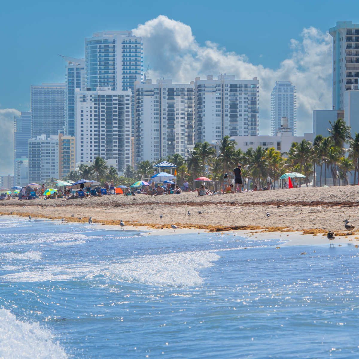 Vue de Miami depuis Virginia Key