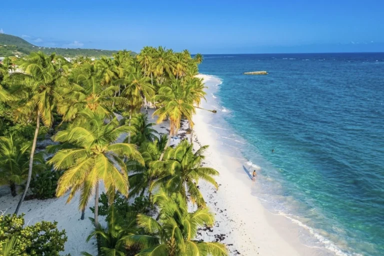 Cette île intacte des Caraïbes françaises possède des plages de sable blanc vides, des rhums à 2 $ et aucun méga-resort